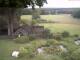 Schneverdingen 09.06.2025 12:47