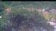 Les Anses-d'Arlet 14.06.2025 12:57