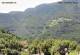 Monte Finonchio 15.07.2025 12:48