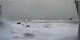 Kapp Linneo (Spitsbergen) 11.05.2025 12:59