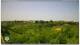 Torrevecchia Teatina 09.06.2025 12:59