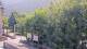 Saint-Jean-Saint-Nicolas 09.06.2025 12:59