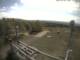 Hoherodskopf 18.03.2025 12:47
