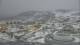McMurdo Station 01.05.2025 12:12