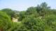 Port-Vendres 09.06.2025 12:01