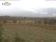 Stellenbosch 30.04.2025 12:01