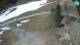 Ravascletto 29.04.2025 12:02