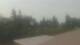 Medina, Washington 04.08.2026 12:16