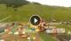 Livigno 03.07.2025 12:01