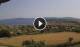 Nea Roda 09.06.2025 12:02