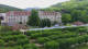 Bad Brückenau 29.05.2025 12:04