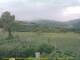 Cantalupo Ligure 06.07.2025 12:04