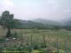Cantalupo Ligure 14.06.2025 12:04