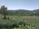 Cantalupo Ligure 07.07.2025 12:04
