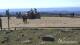 Brocken 10.05.2025 12:04