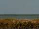 Cape Canaveral, Florida 30.04.2025 12:47