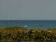 Cape Canaveral, Florida 10.07.2025 12:47
