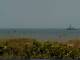 Cape Canaveral, Florida 08.06.2025 12:47