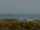 Cape Canaveral, Florida 03.07.2025 12:47