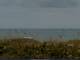 Cape Canaveral, Florida 25.06.2025 12:47