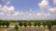 Bentonville, Arkansas 10.07.2025 12:23