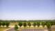 Bentonville, Arkansas 10.07.2025 12:23