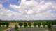 Bentonville, Arkansas 01.07.2025 12:23