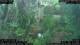 Nakhon Ratchasima (Korat) 02.07.2025 12:47