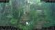Nakhon Ratchasima (Korat) 24.06.2025 12:47
