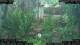 Nakhon Ratchasima (Korat) 10.05.2025 12:47