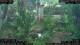 Nakhon Ratchasima (Korat) 15.06.2025 12:47