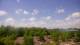 Spotsylvania, Virginia 29.04.2025 12:23