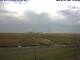 Hallig Hooge 14.07.2025 12:48