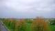 Shorewood, Illinois 30.04.2025 12:27