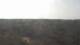 Moliets-et-Maa 30.04.2025 12:06
