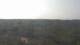 Moliets-et-Maa 09.06.2025 12:06