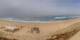 Seignosse 29.04.2025 12:07