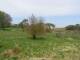 Dartmoor 30.04.2025 12:47