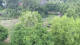 Bad Pyrmont 09.06.2025 12:47