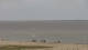 Neuharlingersiel 02.11.2024 12:08