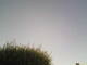 Burgstetten 30.04.2025 12:08