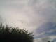 Burgstetten 14.07.2025 12:18