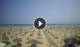 Rimini 09.06.2025 12:08
