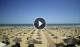 Rimini 14.07.2025 12:19