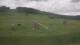 Czarna Góra 09.06.2025 12:09