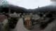 Reichraming 08.05.2025 12:09