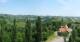 Glanz an der Weinstraße 14.06.2025 12:10