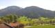 Söll 29.04.2025 12:10