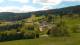 Zieleniec 24.04.2025 12:10