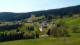 Zieleniec 29.04.2025 12:10